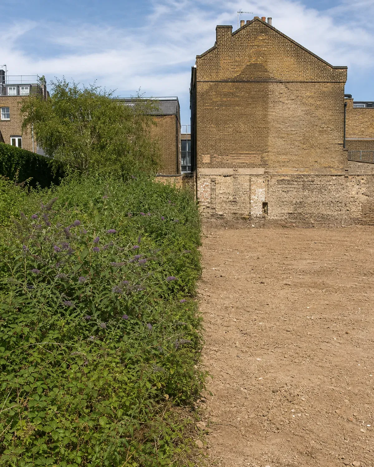 Plot half overgrown with brambles and buddleia, the other half cleared to bare, level ground